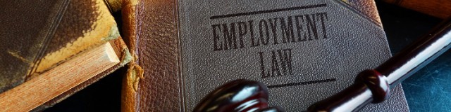 Employment Law Image 